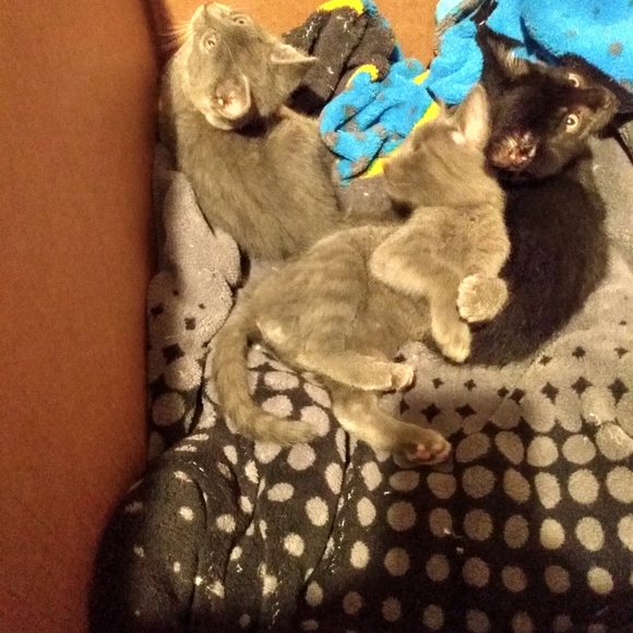 Meet your Posher, Jennifer - Picture 8 of 12